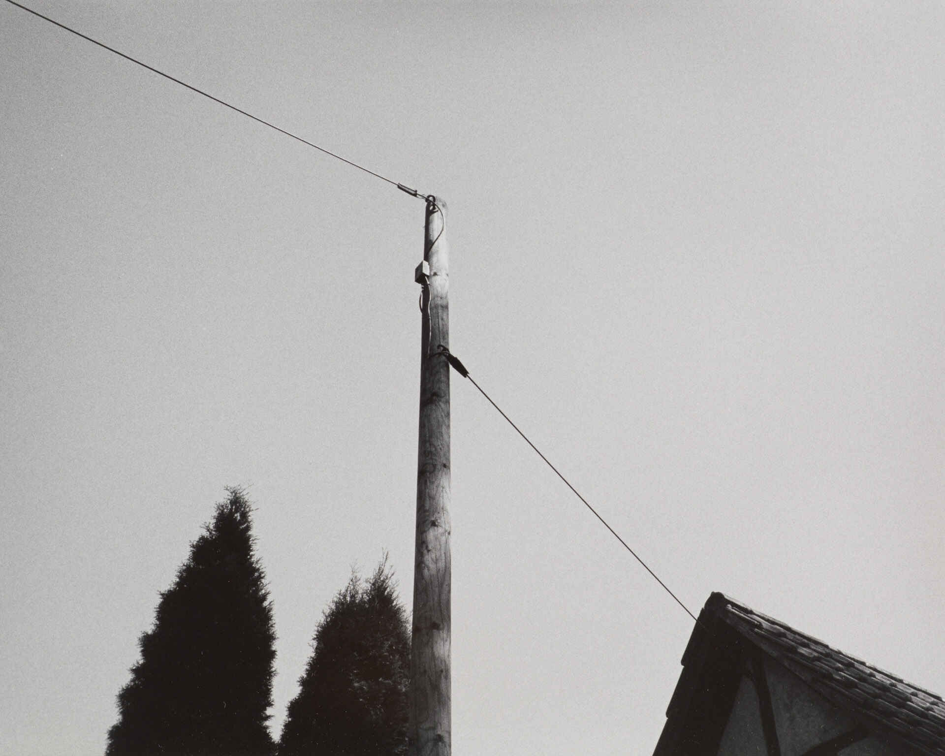 Telefonkabel (Yashica T5, Kentmere 400, Kodak Xtol; Print auf Adox MCC 110 in Moersch ECO 4812) (Foto: Martin Frech, 8/2013) Schwarzweißbild: Telefonkabel (Foto: Martin Frech, 8/2013)