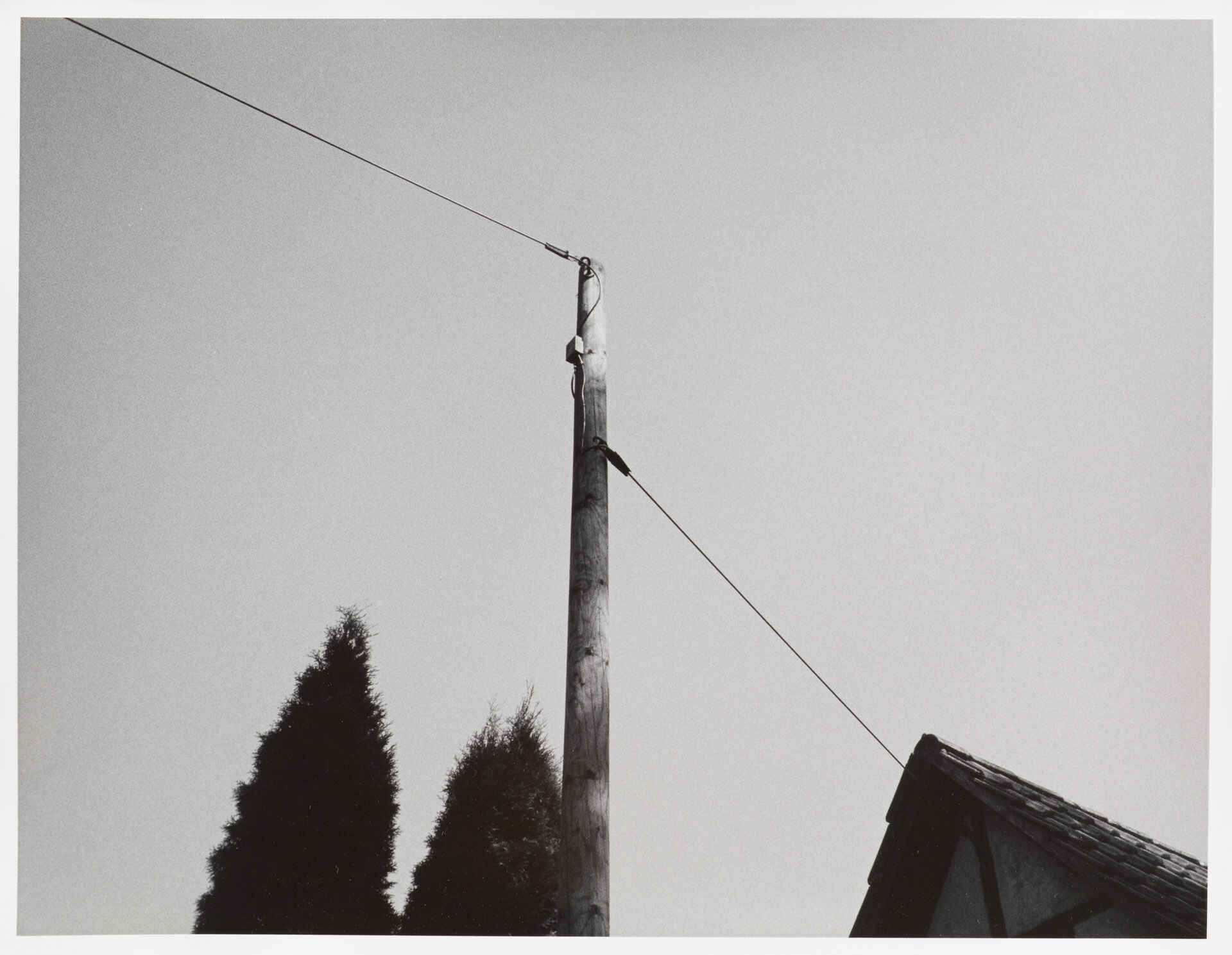 Telefonkabel (Yashica T5, Kentmere 400, Kodak Xtol; Print auf Adox MCC 110 in Moersch ECO 4812) (Foto: Martin Frech, 8/2013) Schwarzweißbild: Telefonkabel (Foto: Martin Frech, 8/2013)