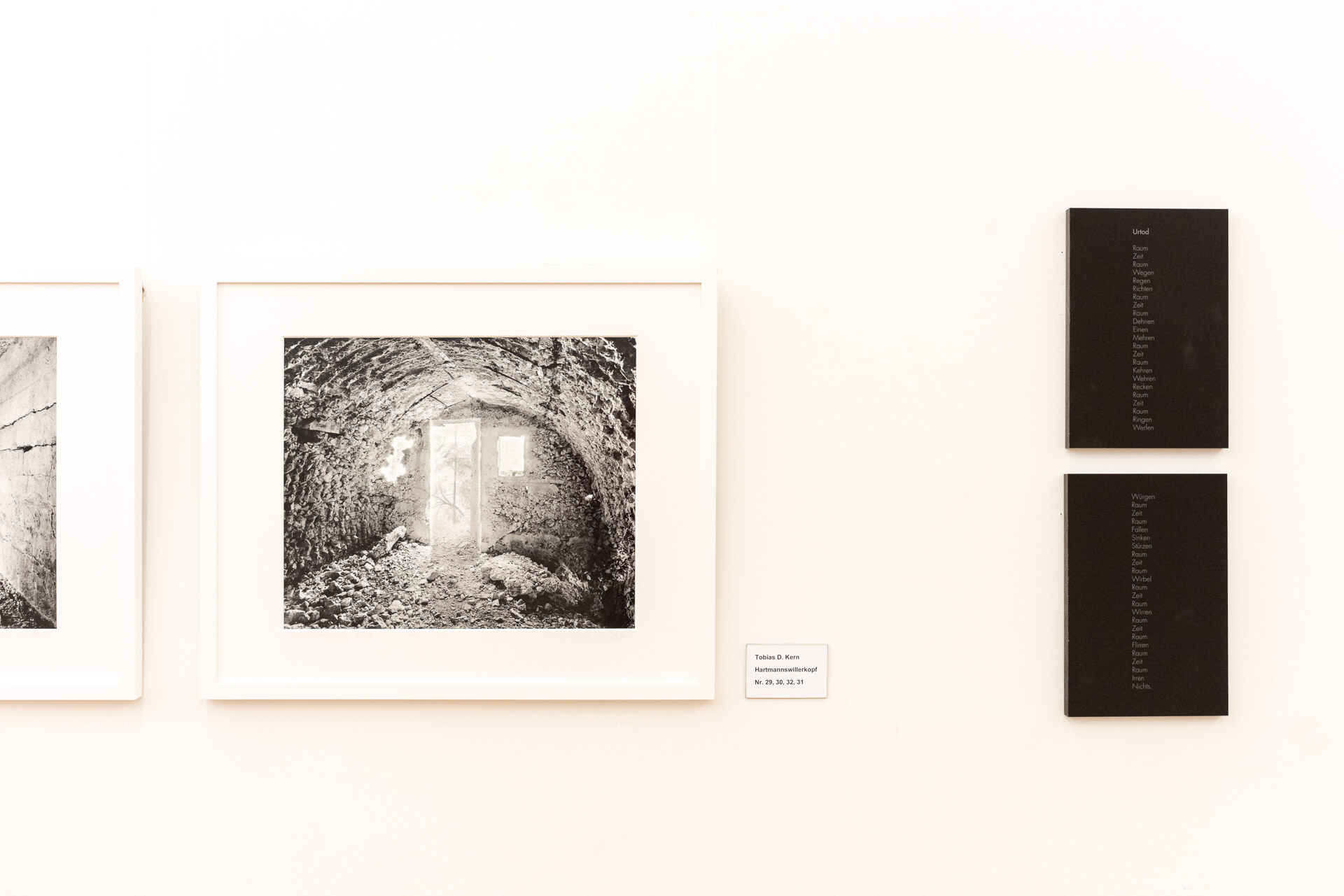 Farbbild: Installationsansicht der Ausstellung ›Wandlungen – Mutations‹ in der Kreisgalerie Schloss Meßkirch (Foto: Martin Frech, 7/2018)