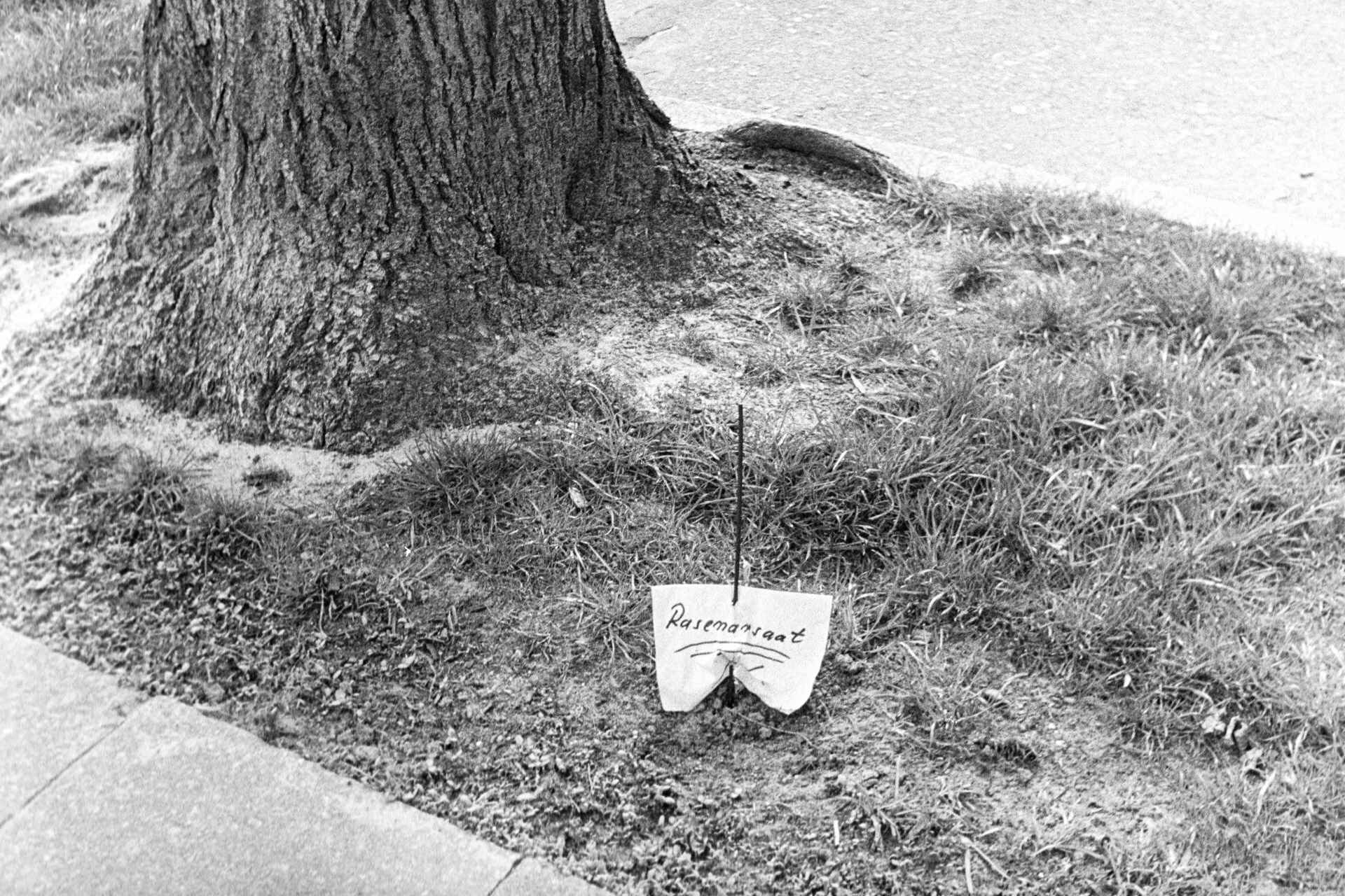 Rasenansaat in einer Baumscheibe in Berlin. (Foto: Martin Frech, 4/2007) Schwarzweißbild: Grünstreifen zwischen Fahrbahn und Gehweg mit Zettel ›Rasenansaat‹ (Berlin) (Foto: Martin Frech, 4/2007)