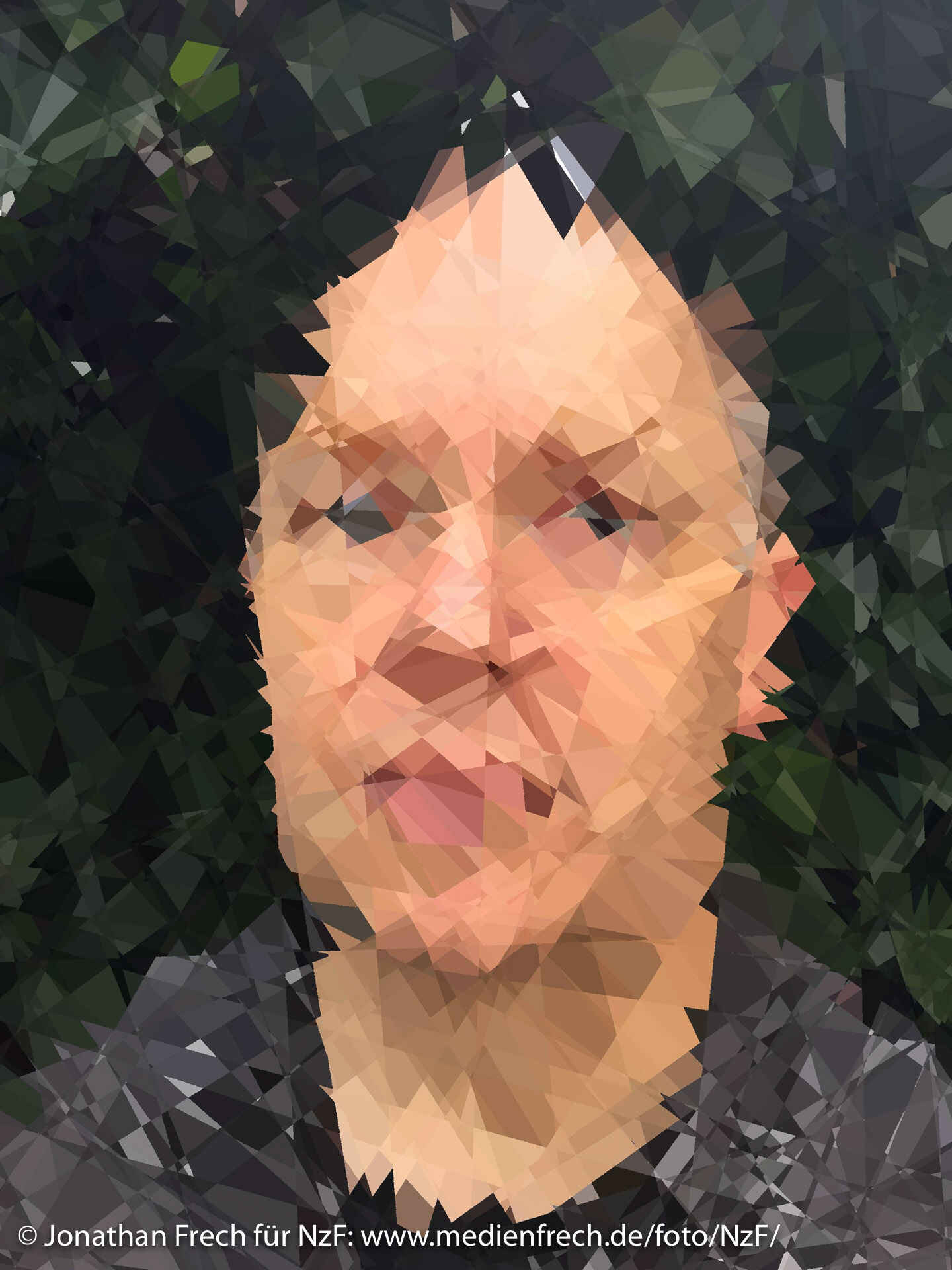 Martin and ivy, mosaified with n=5 and k=1 (which are the default parameters) Martin and ivy, mosaified with n=5 and k=1 (which are the default parameters)