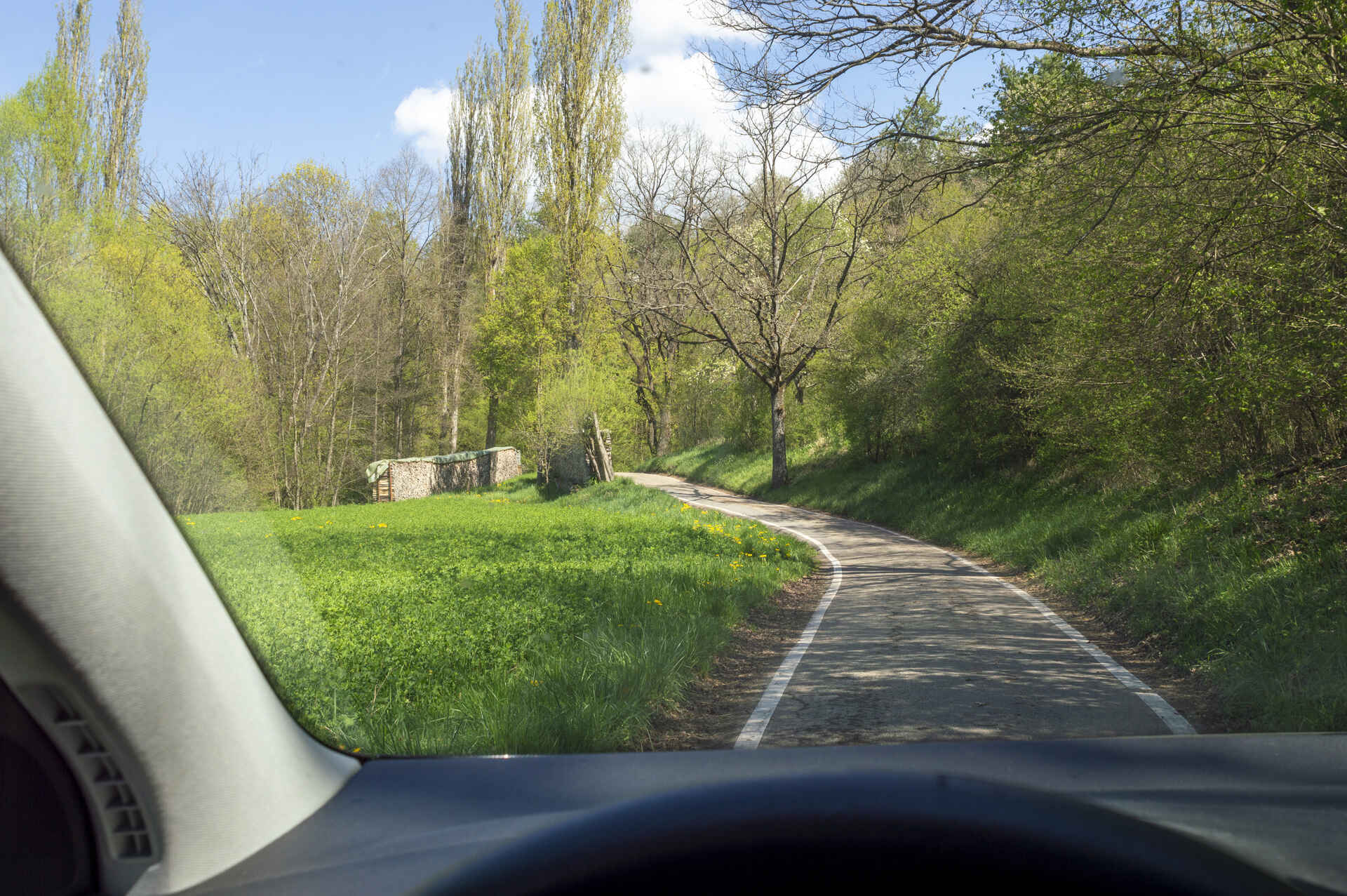 Farbbild (born digital): Blick aus der Windschutzscheibe eines Autos auf einen Feldweg; links ist eine grüne Wiese, rechts ein Hang mit Büschen. Die Bäume sind teilweise noch kahl.