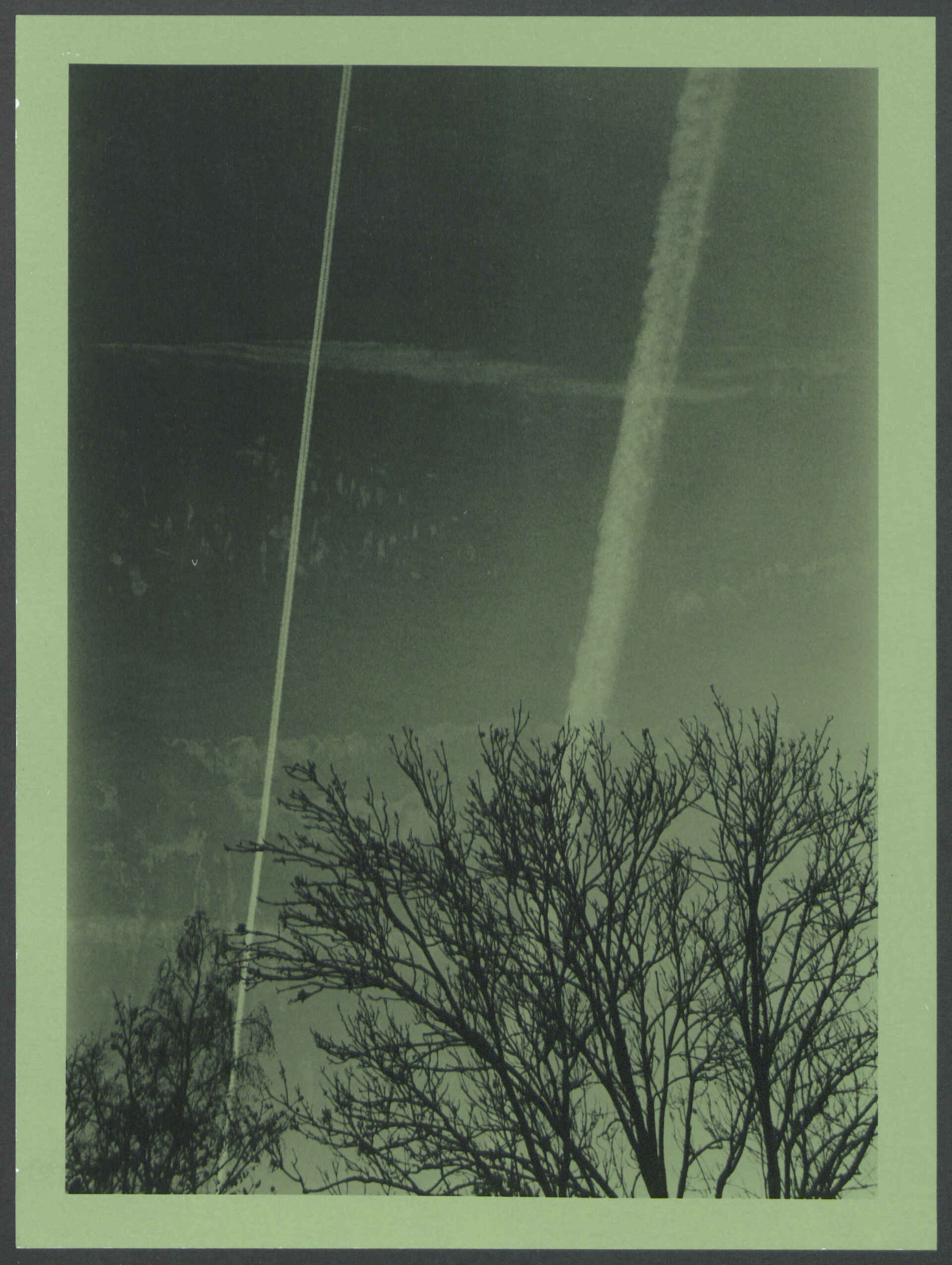 Herbsttag im Anthropozän (Foto: Martin Frech, 12/2025) Schwarzweißbild auf grünlichem Fomapastel-Papier (Scan des Baryt-Handabzugs): Himmel mit Kondensstreifen, Baumkrone im Vordergrund (Foto: Martin Frech, 12/2025)