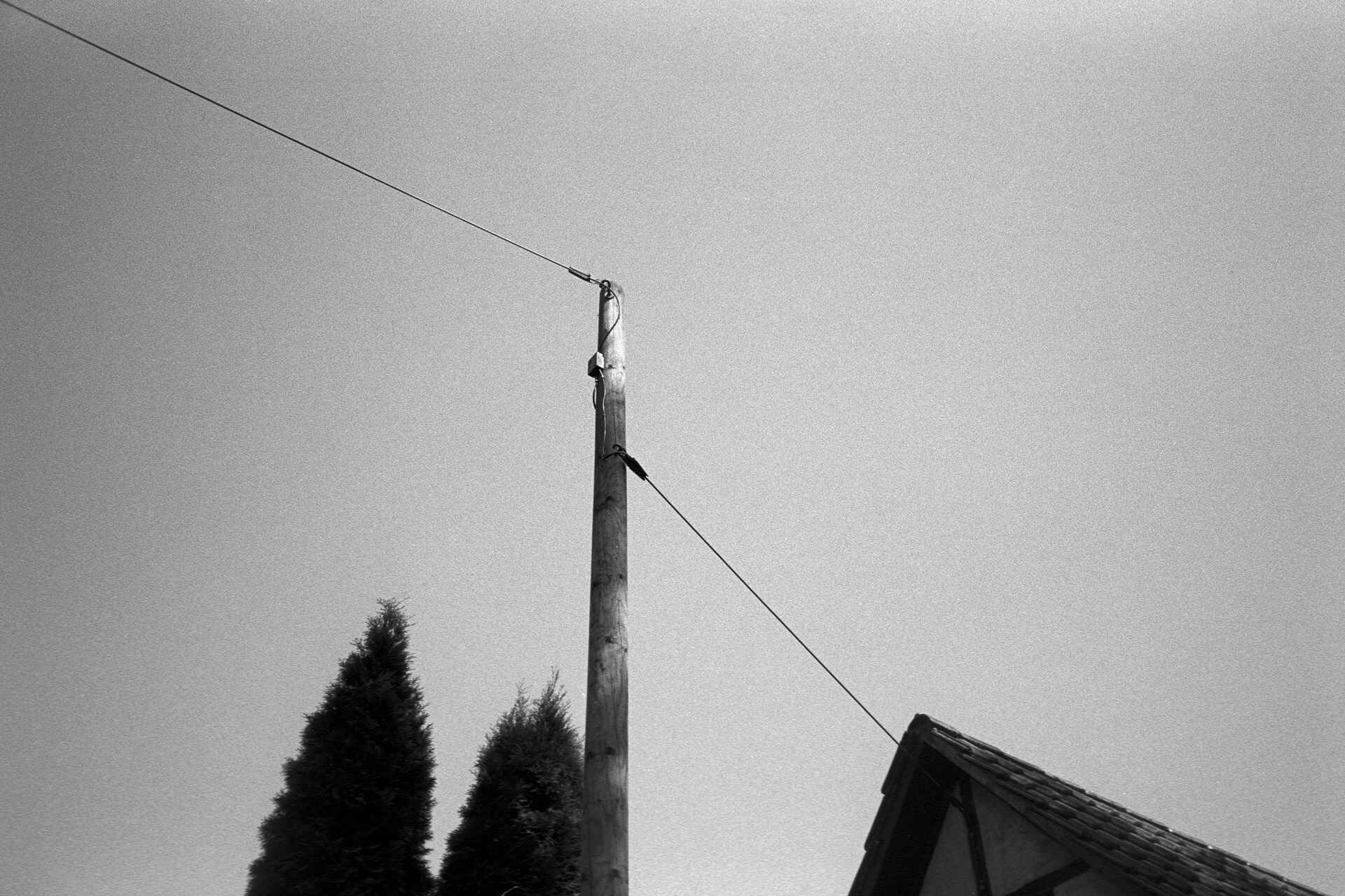 Telefonkabel (Yashica T5, Kentmere 400, Kodak Xtol; Scan mit Nikon Super-Coolscan 4000 ED) (Foto: Martin Frech, 8/2013) Schwarzweißbild: Telfonkabel (Foto: Martin Frech, 8/2013)