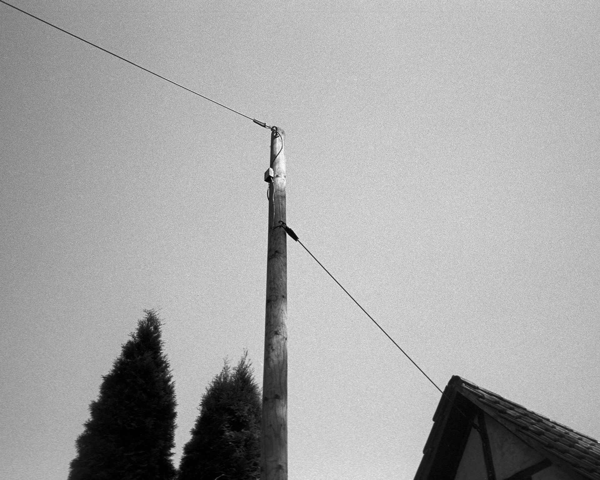 Telefonkabel (Yashica T5, Kentmere 400, Kodak Xtol; Scan mit Nikon Super-Coolscan 4000 ED) (Foto: Martin Frech, 8/2013) Schwarzweißbild: Telfonkabel (Foto: Martin Frech, 8/2013)