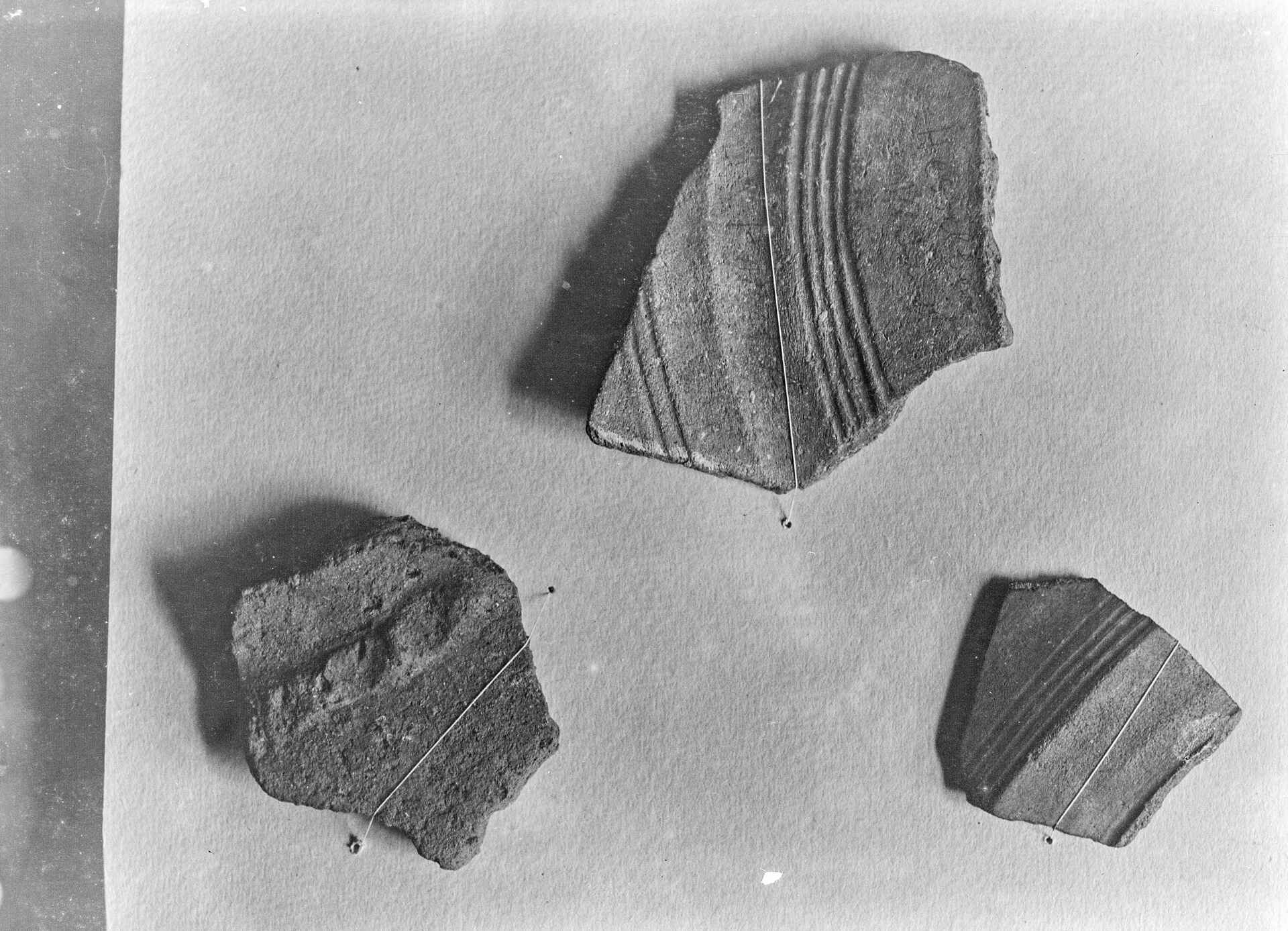 Tonscherben auf Karton (unbekannter Fotograf, ca. 1905; Repro: Martin Frech, 9/2025) Schwarzweißbild: Digitale Reproduktion eines Glasnegativs, das einen auf Karton montierte Tonscherben zeigt; ca. 1905 (Bildautor unbekannt, Repro: Martin Frech).