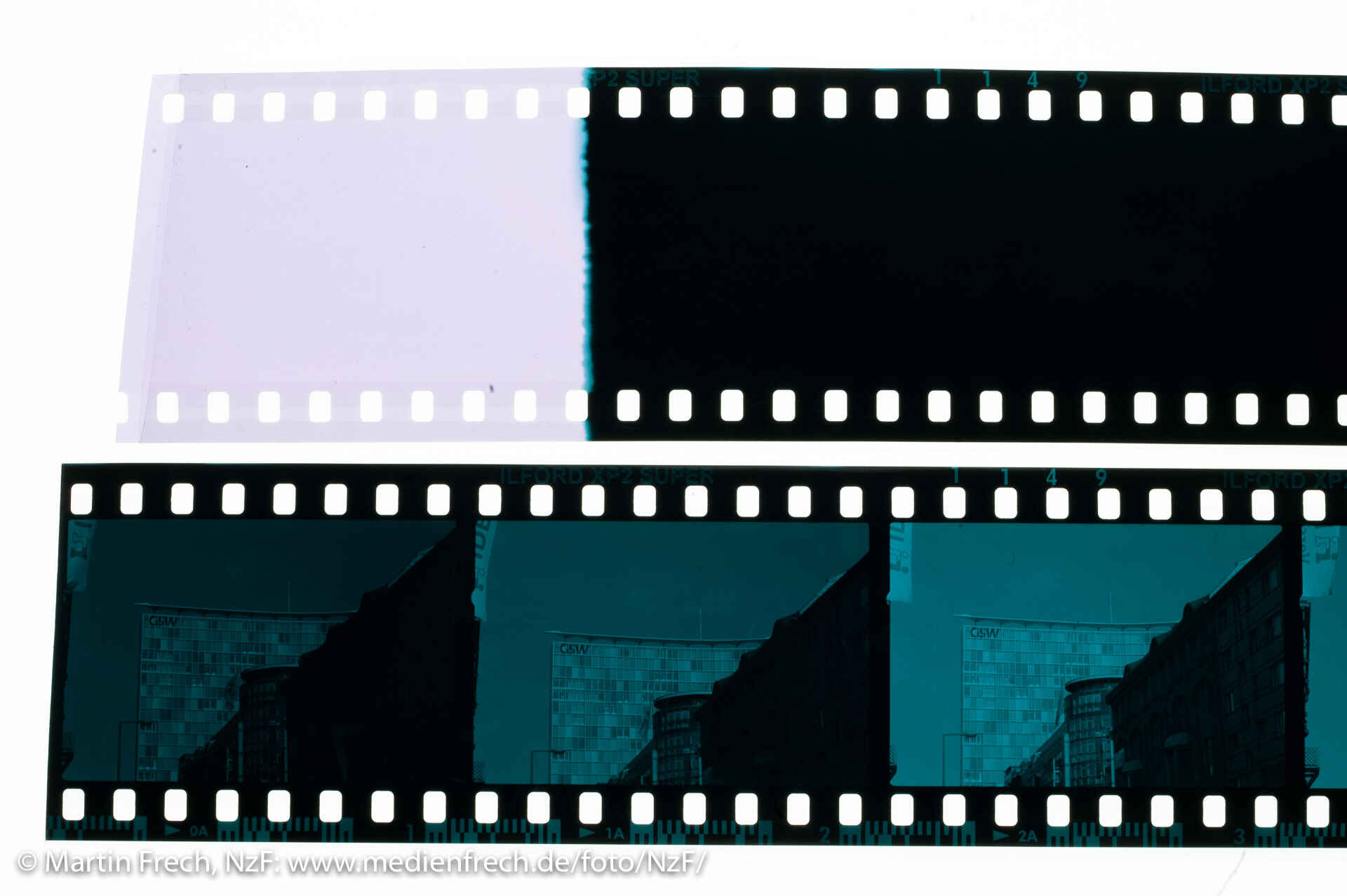 Farbbild: Zwei Filmstreifen Ilford XP2 (crossentwickelt) auf einer Leuchtplatte (Foto: Martin Frech, 8/2007)