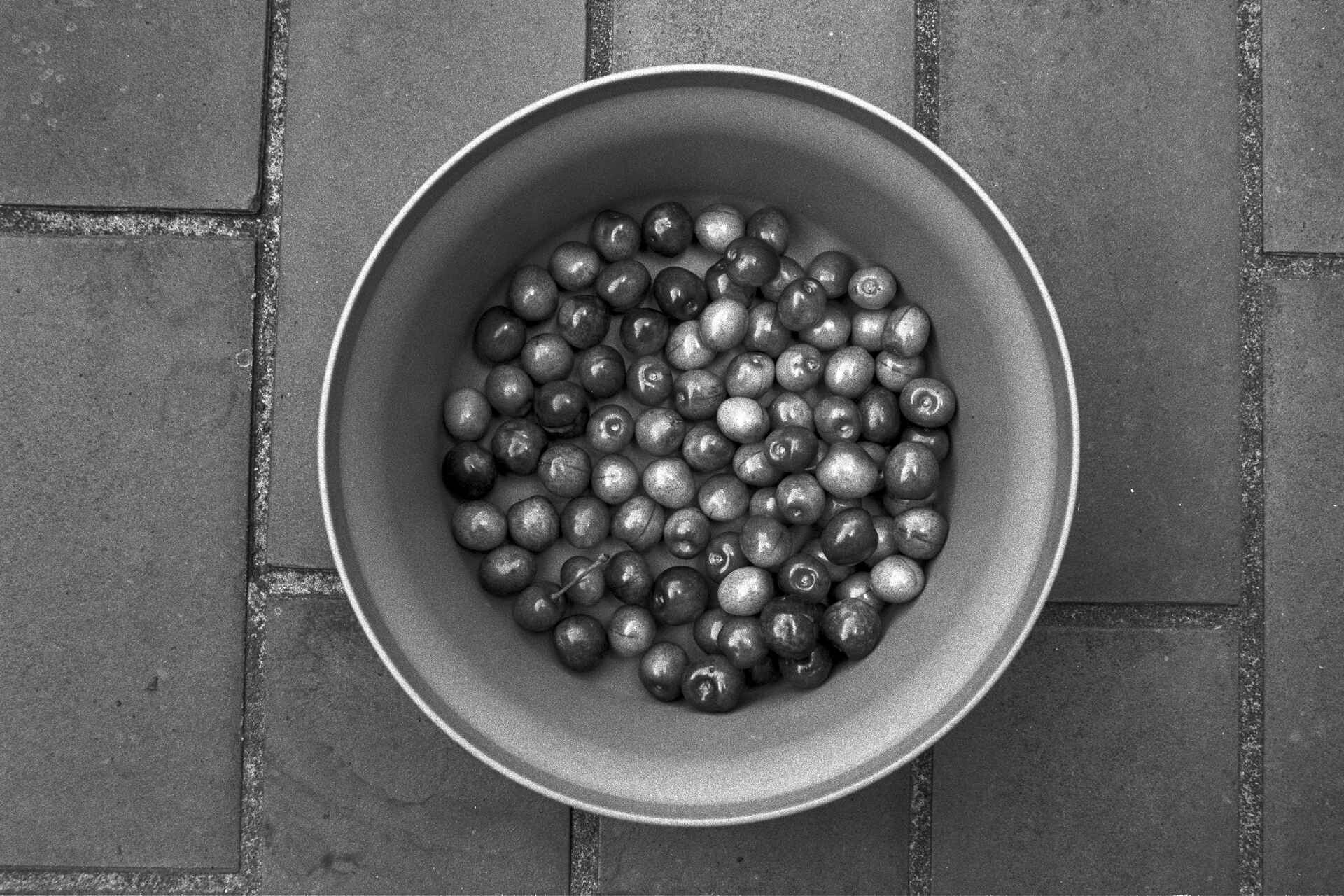 Die ersten Kirschen aus eigener Ernte. Schwarzweißbild (digitalisiert vom HP5-Kleinbild-Negativ): Blick von oben auf eine Schüssel mit Kirschen.