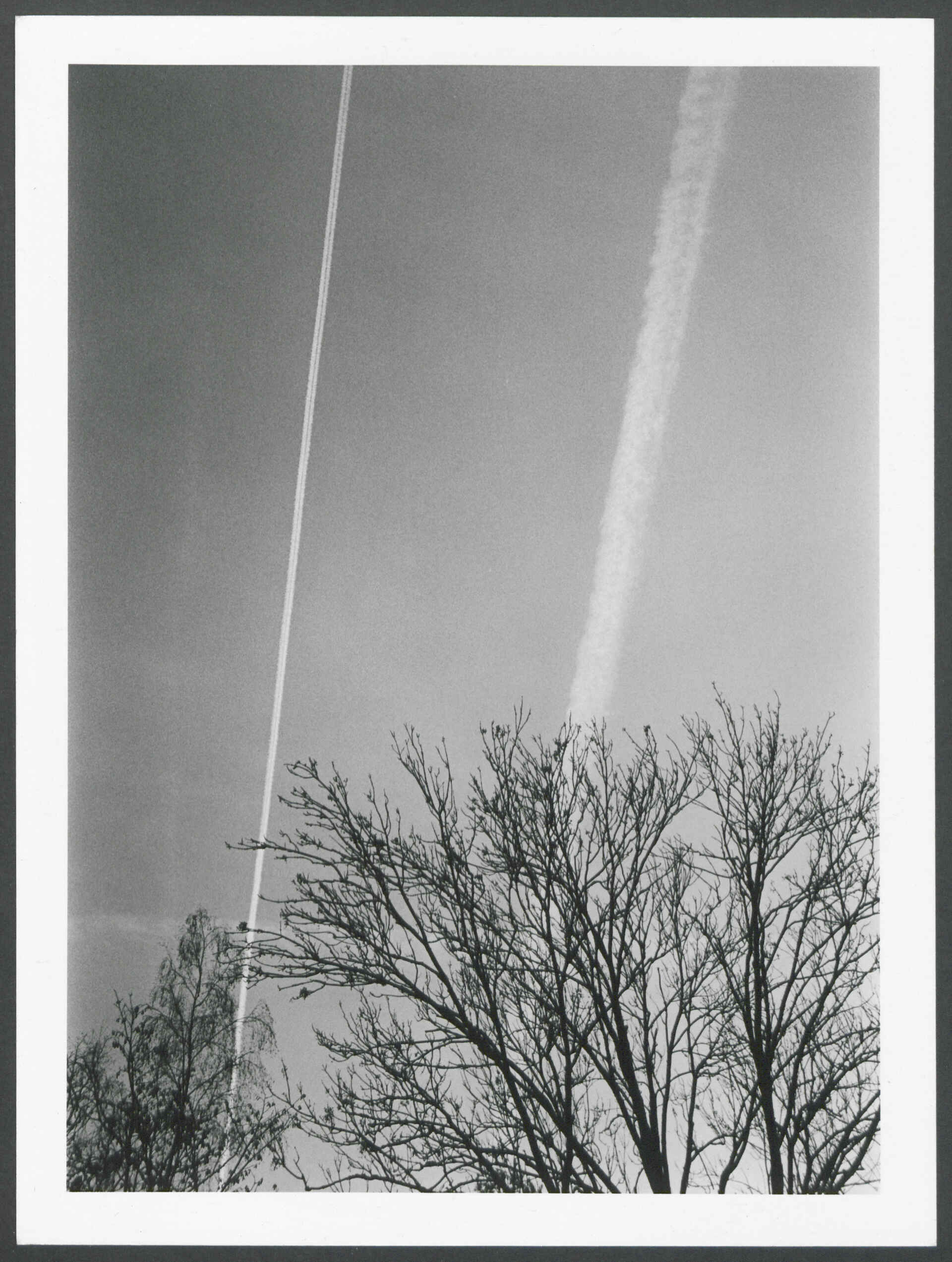 Herbsttag im Anthropozän (Foto: Martin Frech, 12/2025) Schwarzweißbild (Scan des Baryt-Handabzugs): Himmel mit Kondensstreifen, Baumkrone im Vordergrund (Foto: Martin Frech, 12/2025)