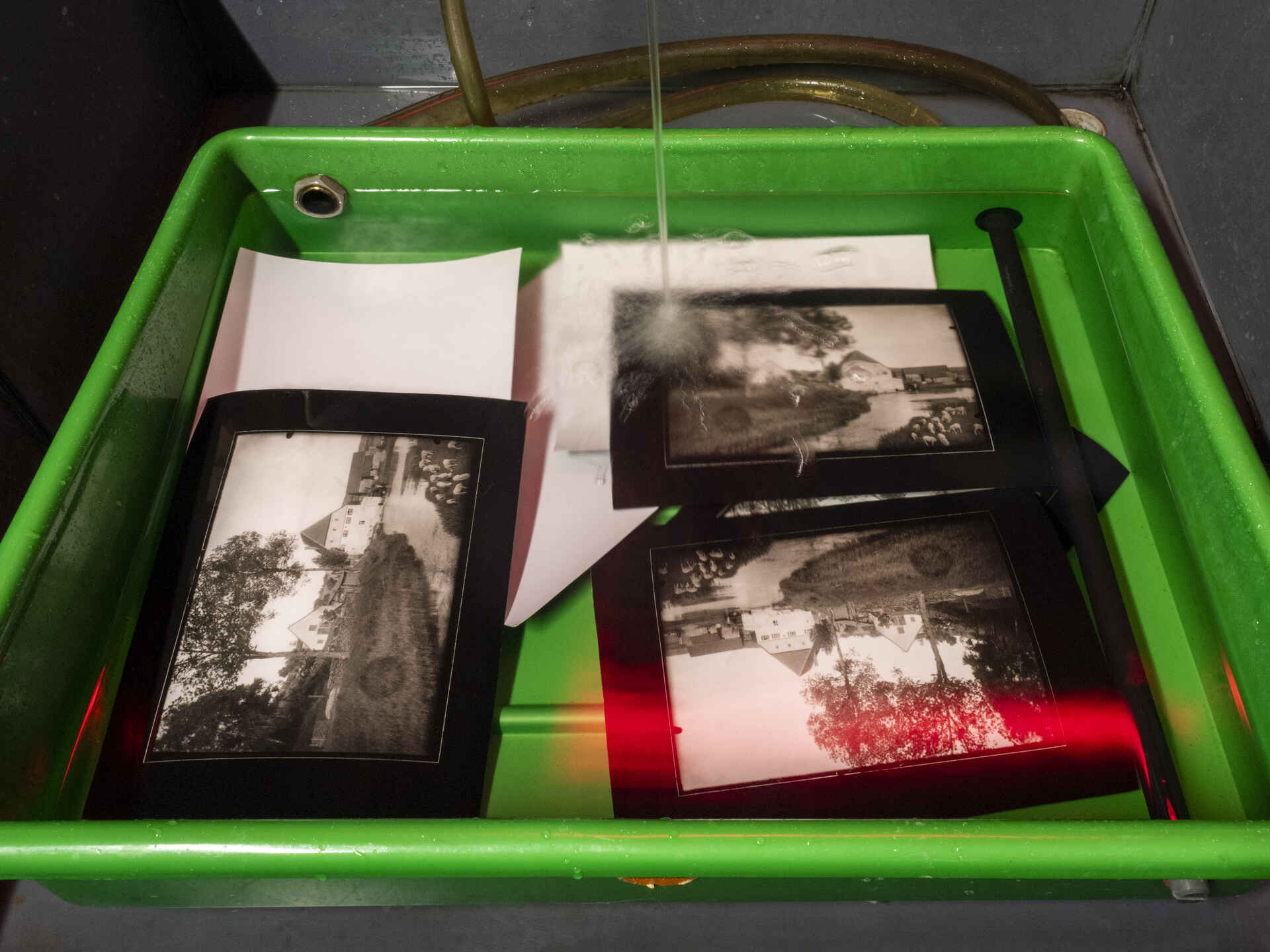 Farbbild (born-digital): Wässern der Kontaktkopien. (Foto: Martin Frech, 12/2025)