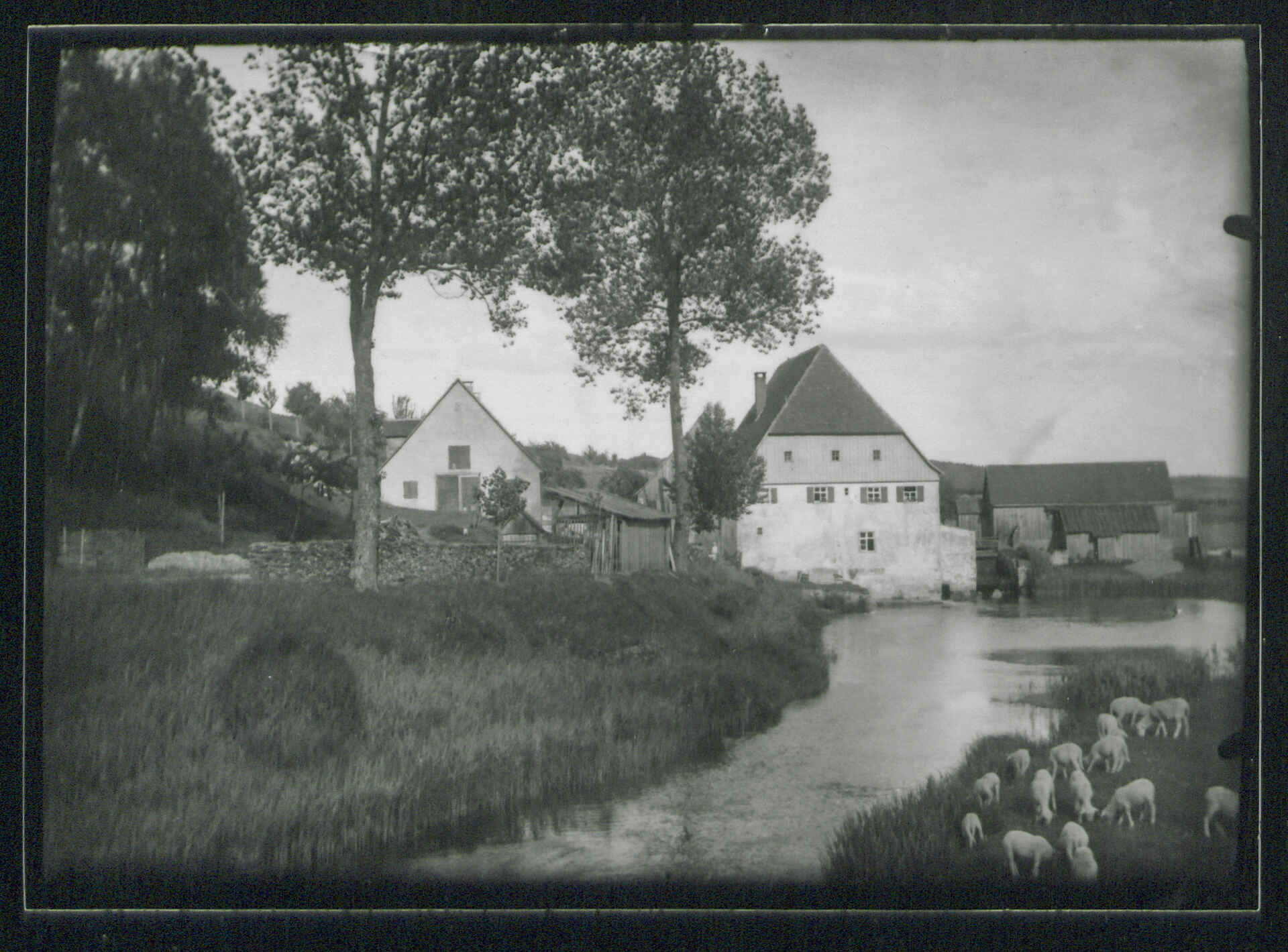 Meine Kontaktkopie des Glasnegativs auf Agfa Record Rapid RRS 111 (G. 2), entwickelt in Adox Neutol, selengetont (1. Aufl 2025, 4 Ex., lfd. Nrn. 1589 bis 1592) (Repro: Martin Frech, 1/2026) Reproduktion: Kontaktkopie eines Glasnegativs der Schrezheimer Mühle bei Ellwangen, ca. 1905 (Bildautor unbekannt, Kontaktkopie: Martin Frech). (Foto: Martin Frech, 12/2025)