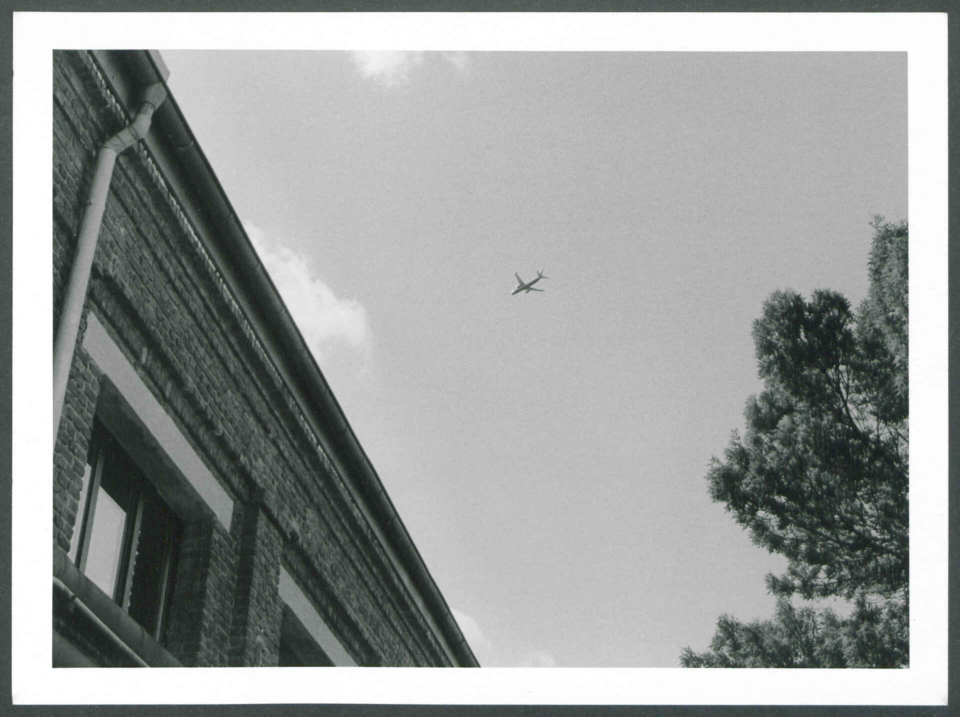 Schwarzweißbild (Scan vom Silbergelatine-Baryt-Abzug): Flugzeug am Himmel über Köln; links ist ein Teil einer Hausfassade zu sehen, rechts ein Teil einer Baumkrone.