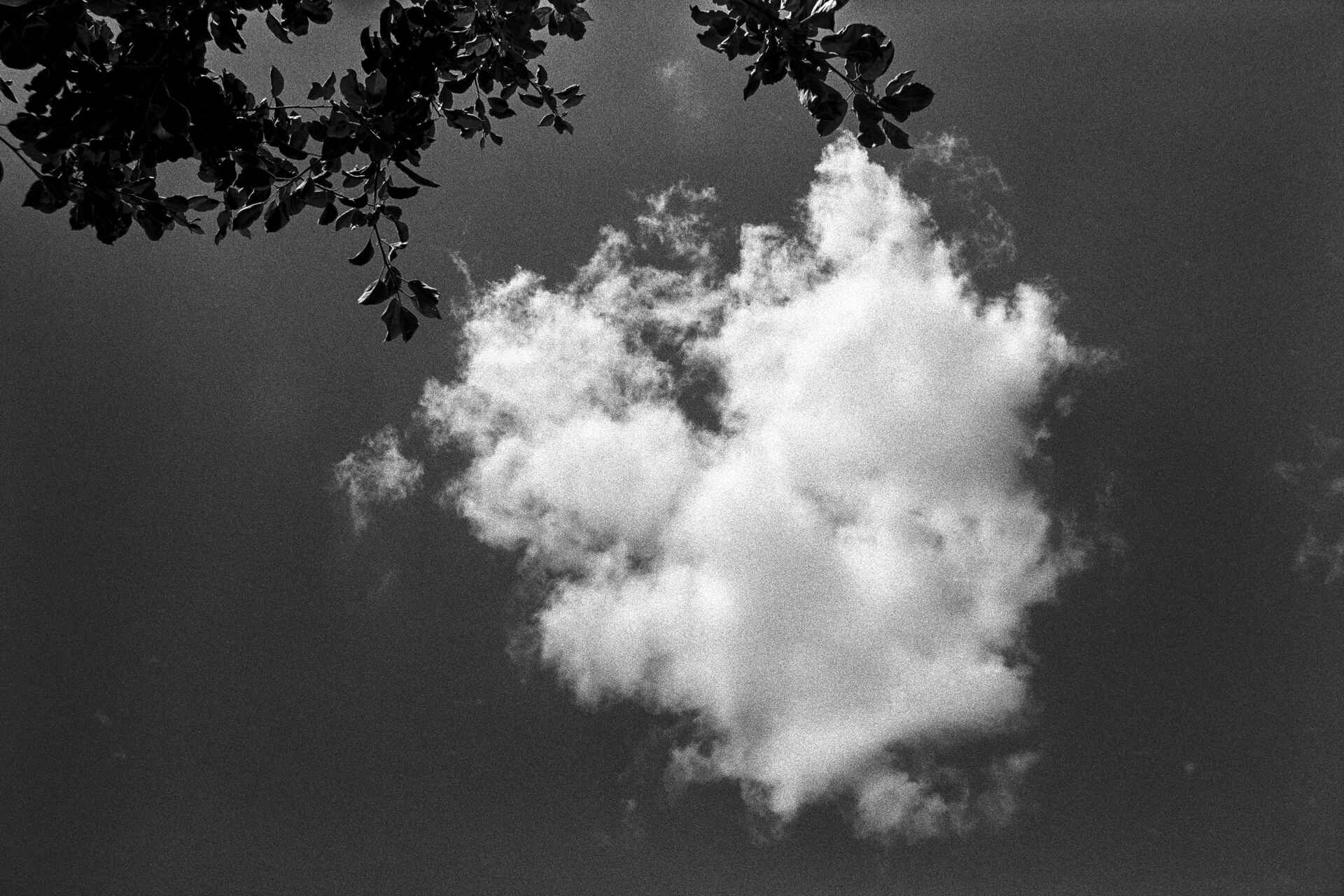 Mittagspause Schwarzweißbild (digitalisiert vom HP5-Kleinbild-Negativ): Wolke am Himmel.