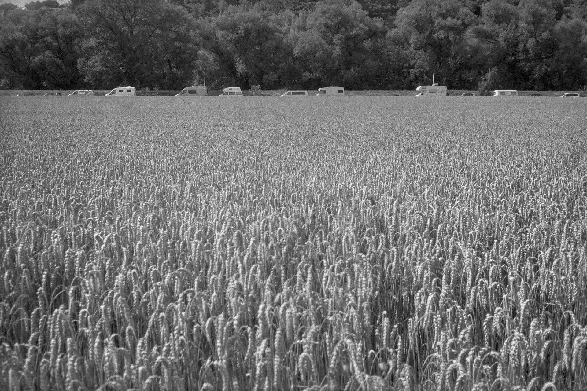 Schwarzweißbild (digitalisiert vom Ilford-HP5-Kleinbild-Negativ): Kornfeld, im Hintergrund Wohnmobile.
