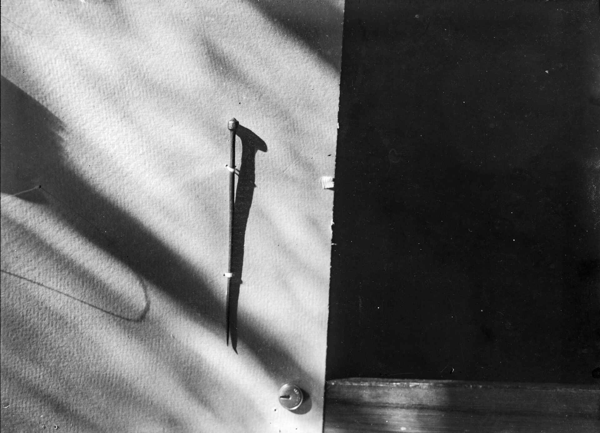 Nagel auf Karton (unbekannter Fotograf, ca. 1905; Repro: Martin Frech, 9/2025) Schwarzweißbild: Digitale Reproduktion eines Glasnegativs, das einen auf Karton montierten Nagel zeigt; ca. 1905 (Bildautor unbekannt, Repro: Martin Frech).