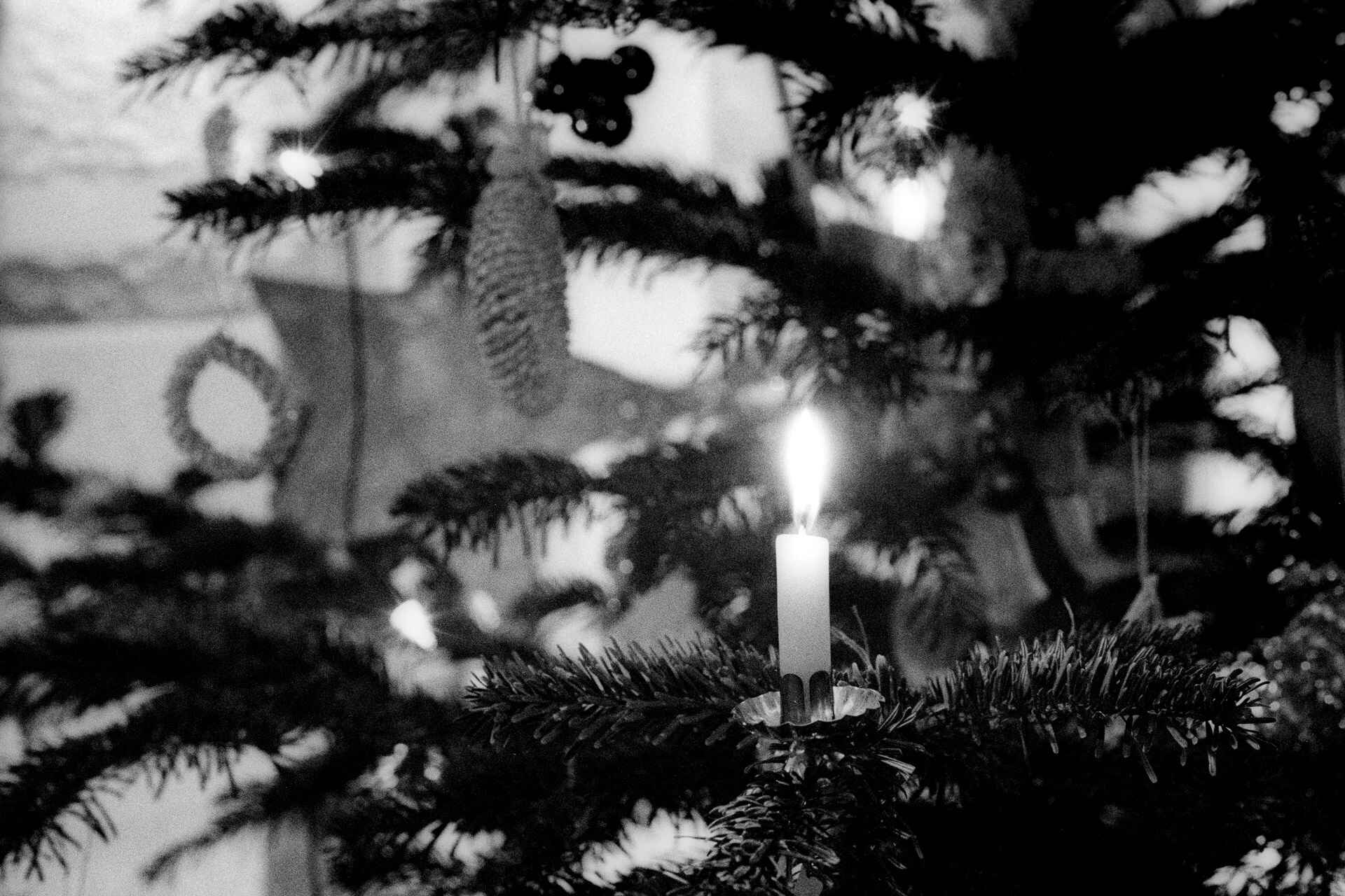 Schwarzweißbild: Brennende Wachskerze am Weihnachtsbaum (Foto: Martin Frech, 1/2008)