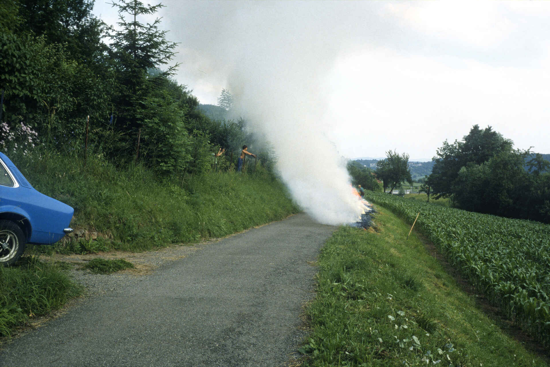 Kontrollierter Böschungsbrand in Tübingen (Foto: Martin Frech, 6/1981) Farbbild (Scan vom Kleinbild-Ektachrome-Dia): Kulturlandschaft mit Garten, Landwirtschaftsweg und Maisfeld. Die Wiese an der Böschung wird kontrolliert abgebrannt; dichter Rauch steigt auf. Links ragt das Heck eines blauen Opel Kadett ins Bild.